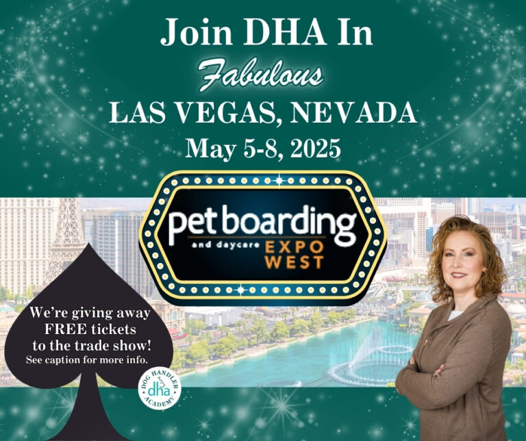 Eve Pet Boarding Expo banner