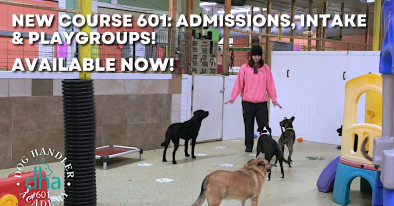 Course 601 playgroup