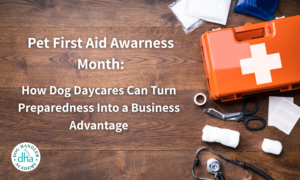 First aid equipment is laid out on a table and placed on the right side of the image. On the left side, the title of the blog, Pet First Aid Awareness Month: How Dog Daycares Can Turn Preparedness Into a Business Advantage, is written in white lettering. The Dog Handler Academy Logo is in the lower left corner.